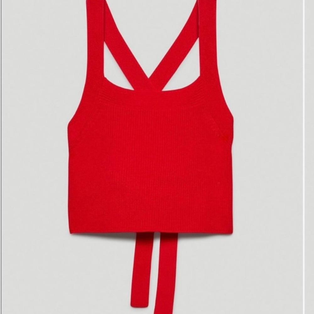Aritzia Cayenne Red knit crop top - Picture 4 of 10